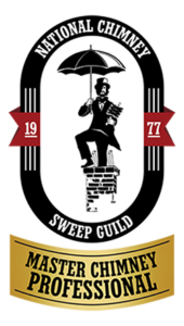 Master Chimney Professional Logo